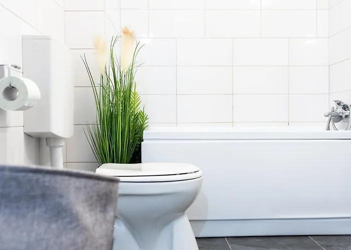 דירה Thome Hoia 1bedroom קלוז'-נאפוקה